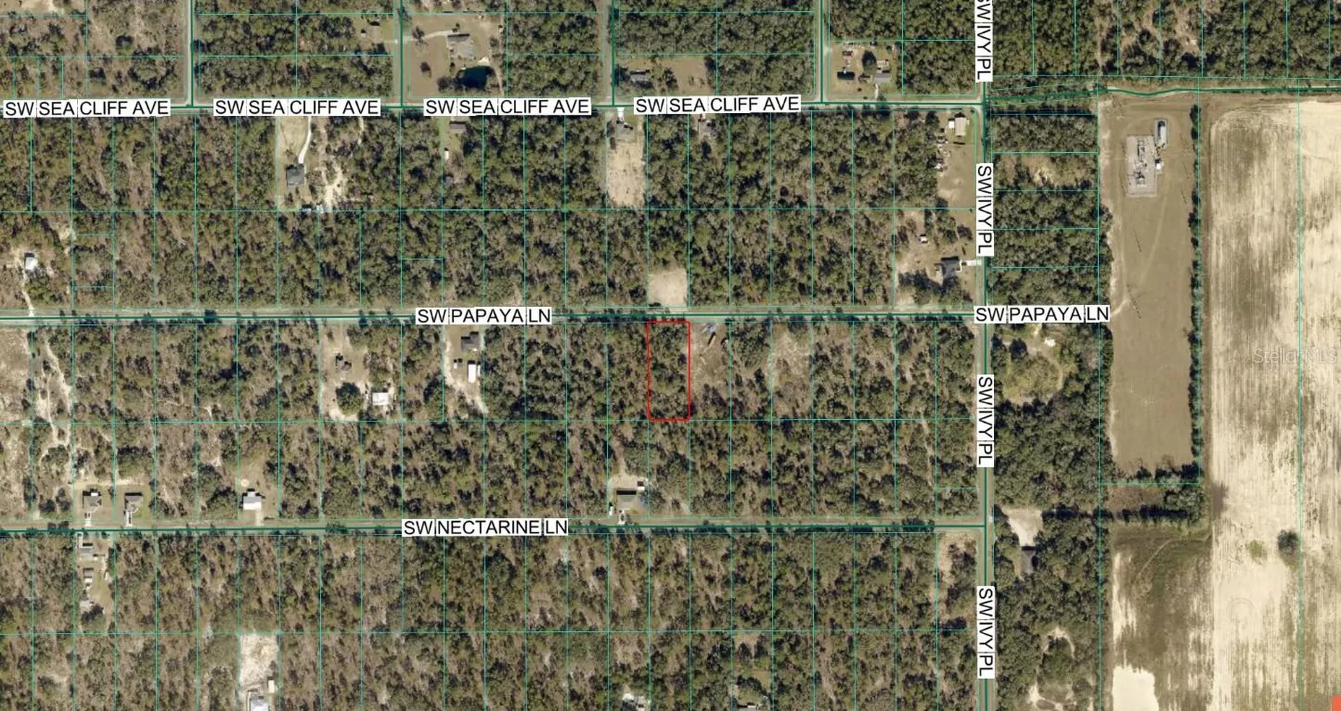 SW Papaya Lane Dunnellon FL 34431
