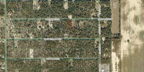 SW Papaya Lane Dunnellon FL 34431