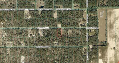SW Papaya Lane Dunnellon FL 34431