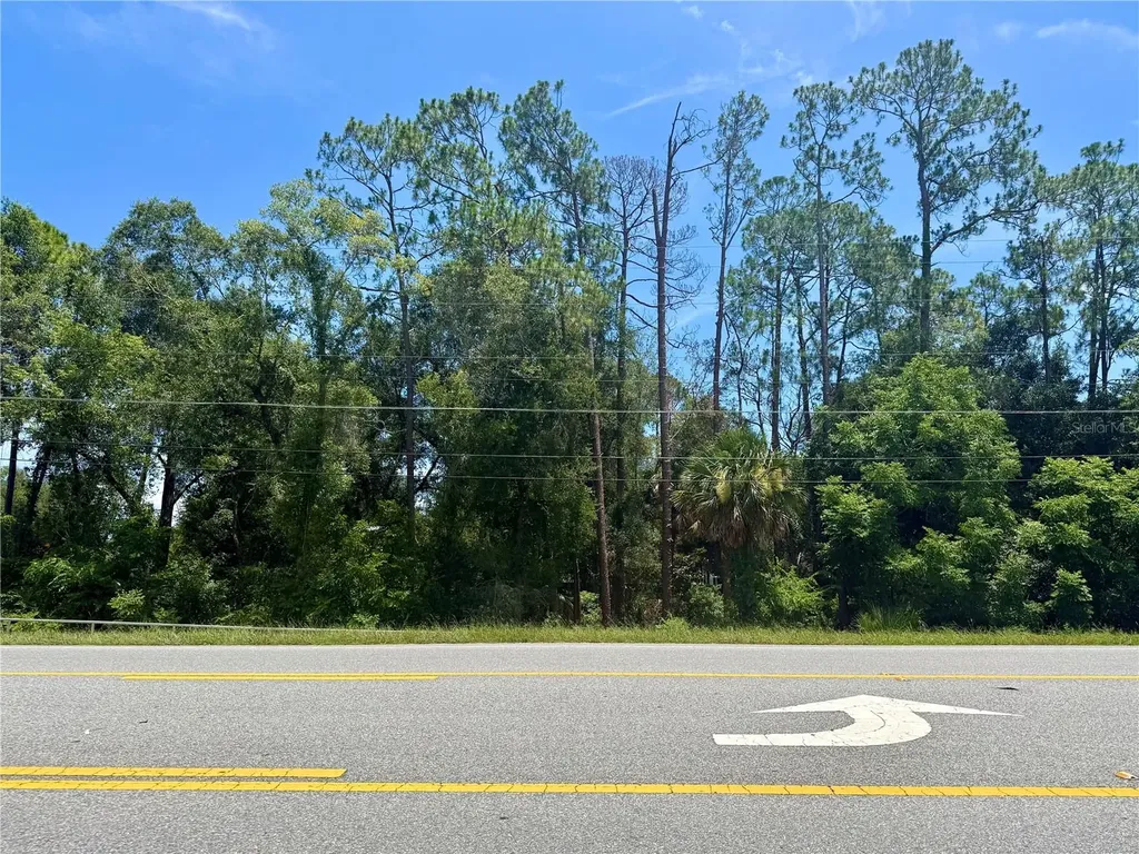 Lot 13 State Road 44 Eustis FL 32726