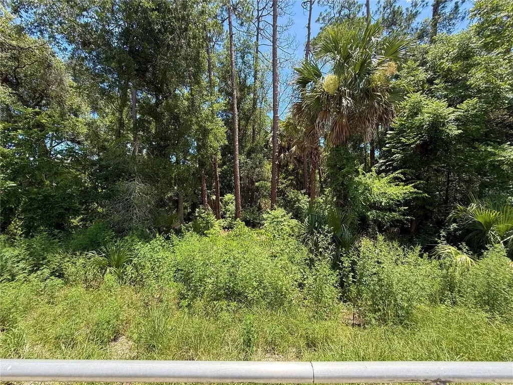 Lot 13 State Road 44 Eustis FL 32726