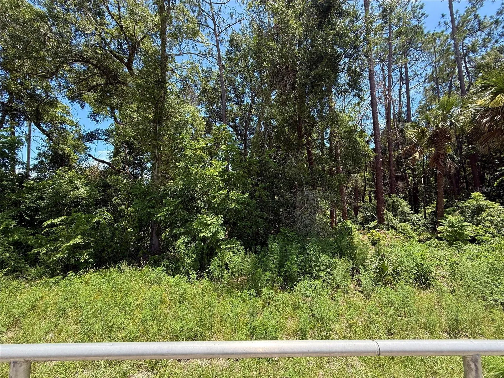 Lot 13 State Road 44 Eustis FL 32726