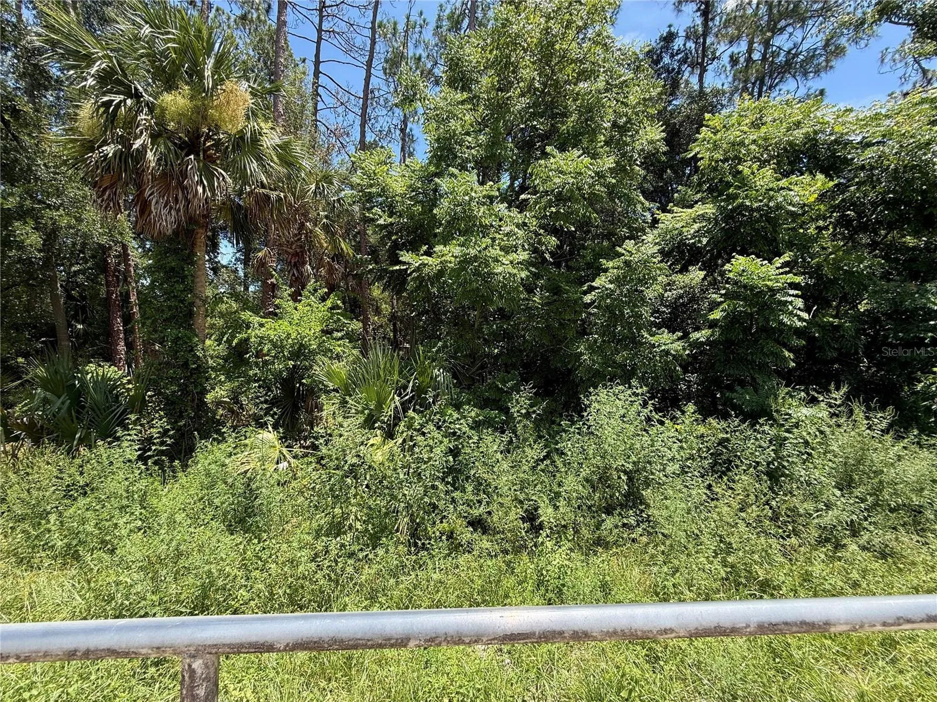 Lot 13 State Road 44 Eustis FL 32726