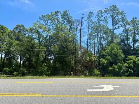 Lot 13 State Road 44 Eustis FL 32726