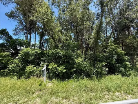 Lot 13 State Road 44 Eustis FL 32726