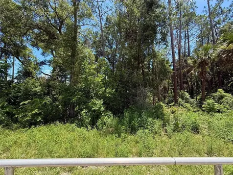 Lot 13 State Road 44 Eustis FL 32726