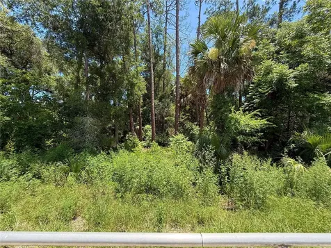 Lot 13 State Road 44 Eustis FL 32726