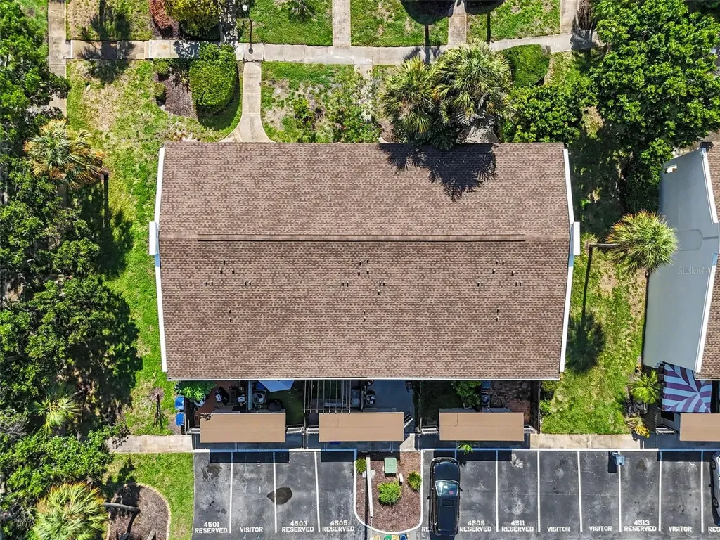4505 La Capri Court Tampa FL 33611