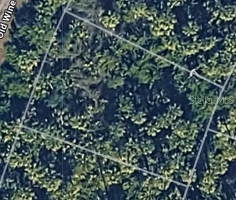 Lot 10 Crimsonglory Road North Port FL 34288