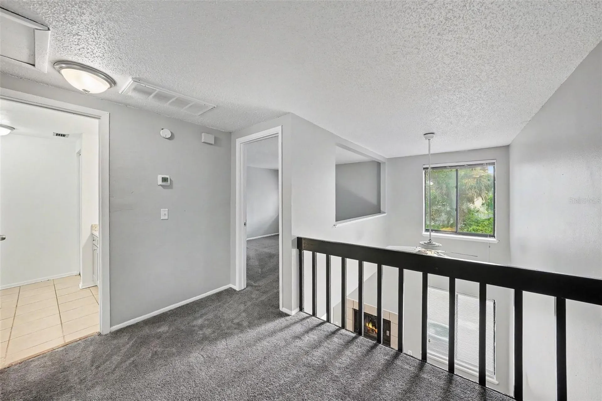 12409 Titus Court Tampa FL 33612