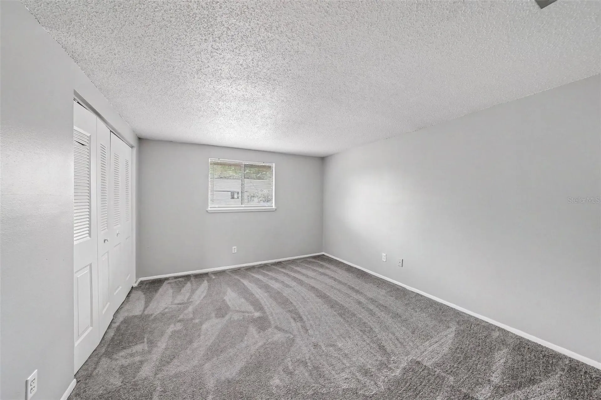 12409 Titus Court Tampa FL 33612