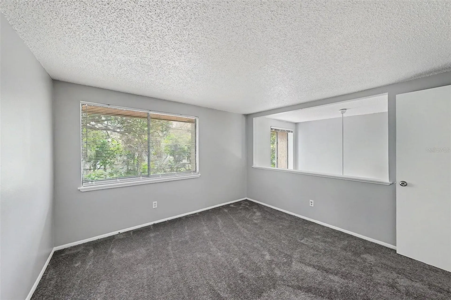 12409 Titus Court Tampa FL 33612