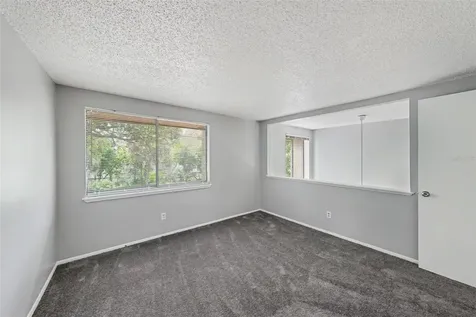 12409 Titus Court Tampa FL 33612