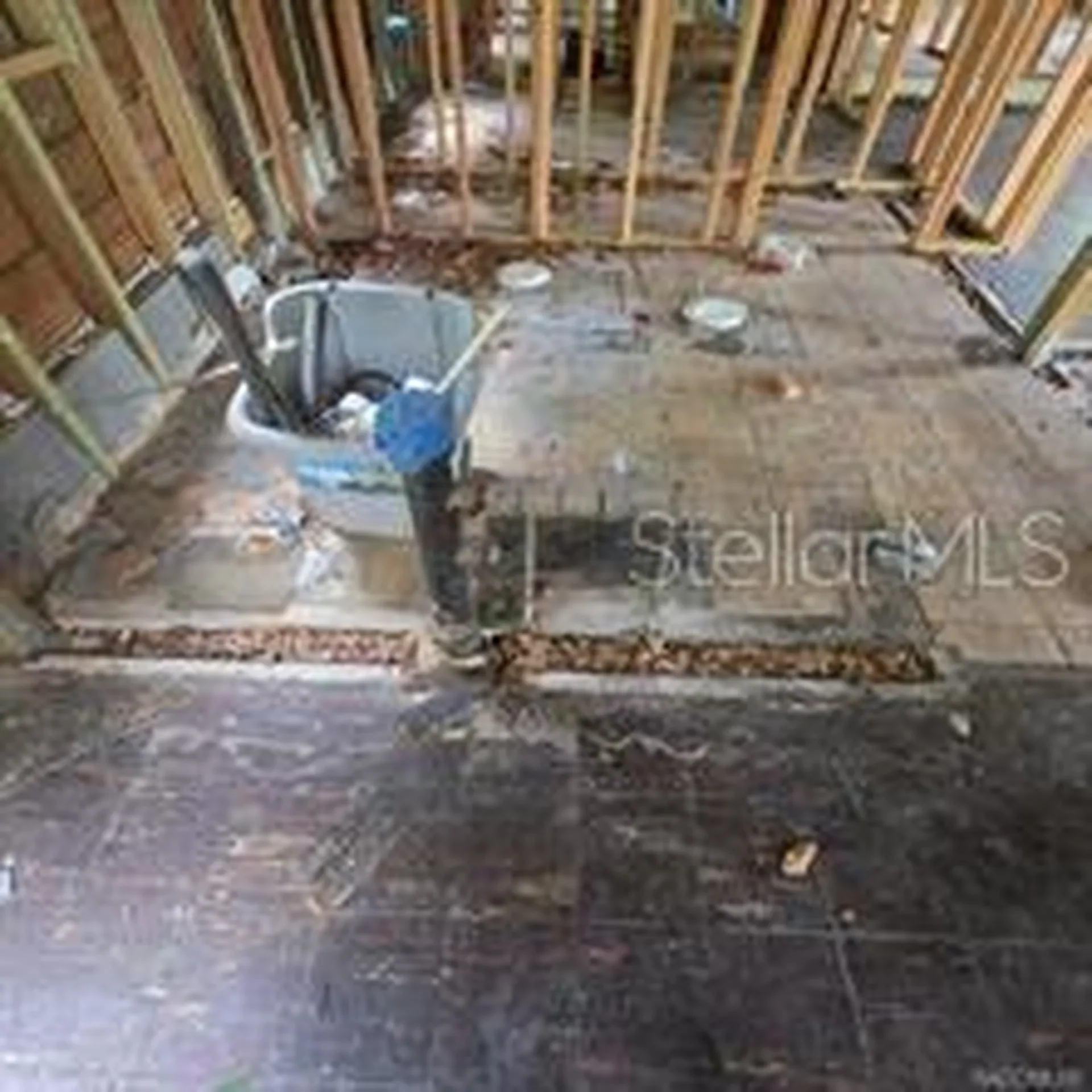 8869 E Ogden Lane Floral City FL 34436