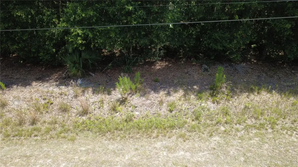 12792 W Baltic Ivy Street Crystal River FL 34428
