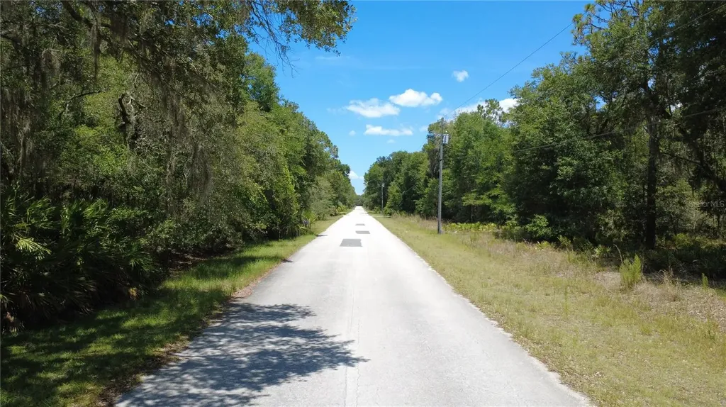 12792 W Baltic Ivy Street Crystal River FL 34428