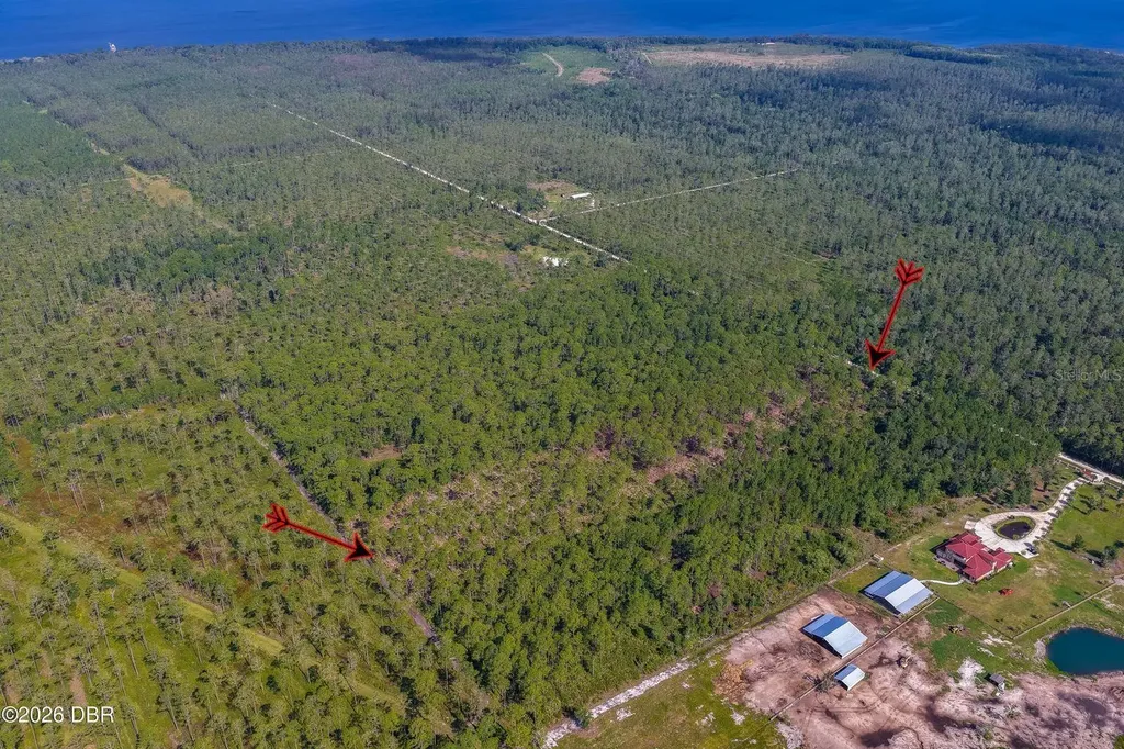 00 Ninemile Point Road Pierson FL 32180