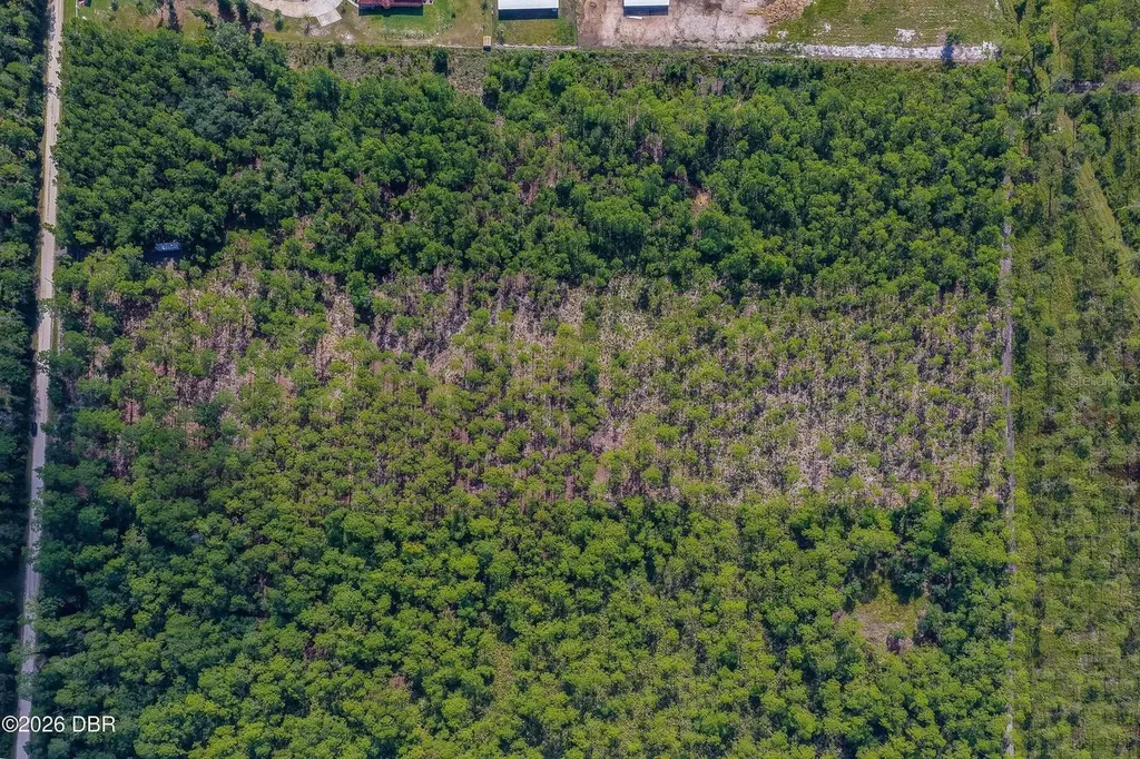 00 Ninemile Point Road Pierson FL 32180