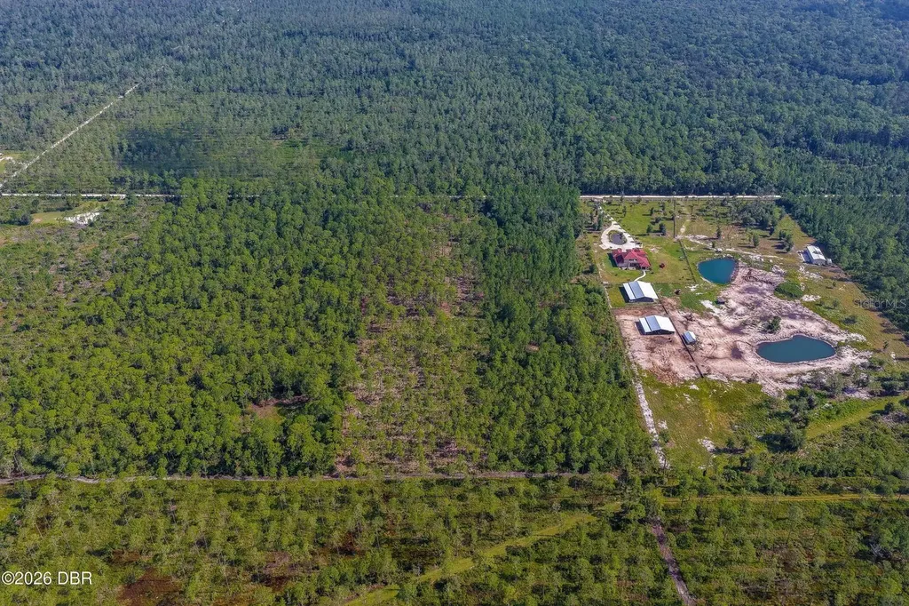 00 Ninemile Point Road Pierson FL 32180