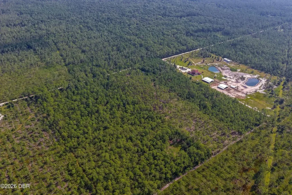 00 Ninemile Point Road Pierson FL 32180
