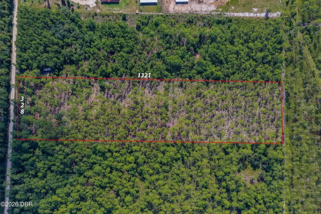 00 Ninemile Point Road Pierson FL 32180