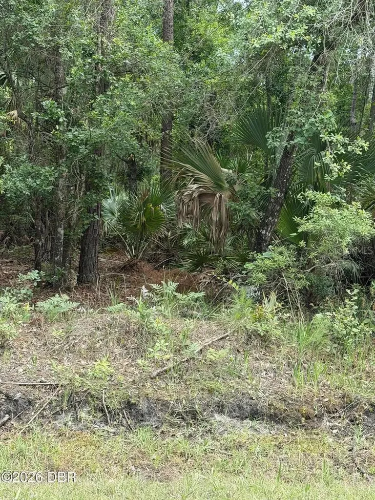 00 Ninemile Point Road Pierson FL 32180