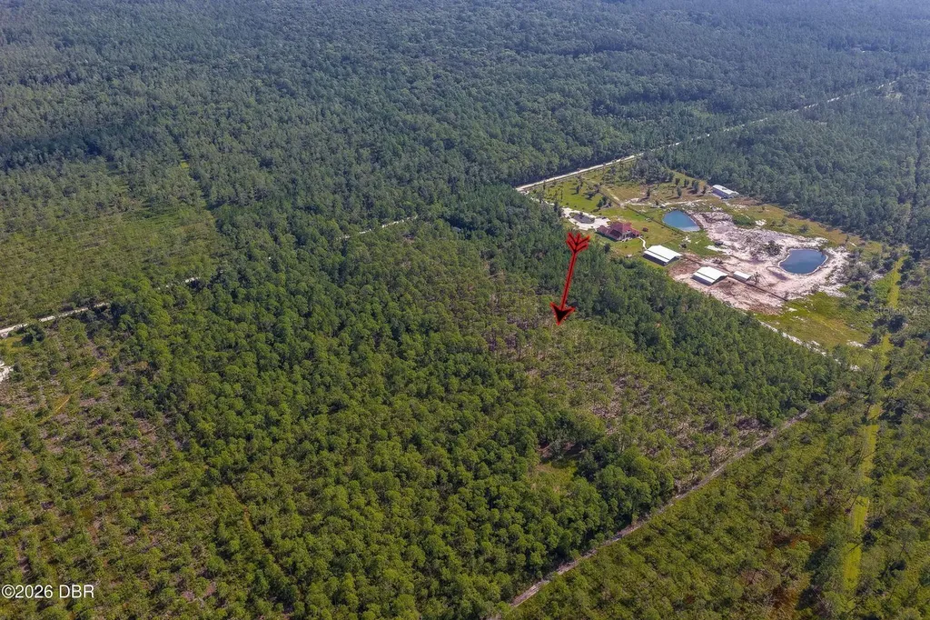 00 Ninemile Point Road Pierson FL 32180