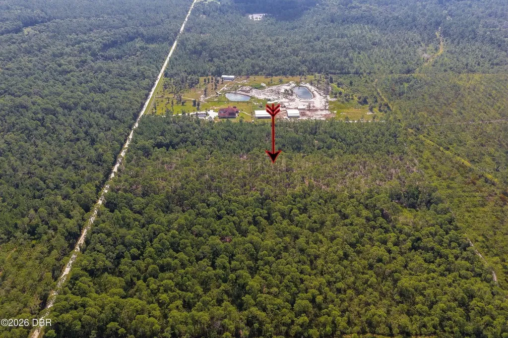 00 Ninemile Point Road Pierson FL 32180