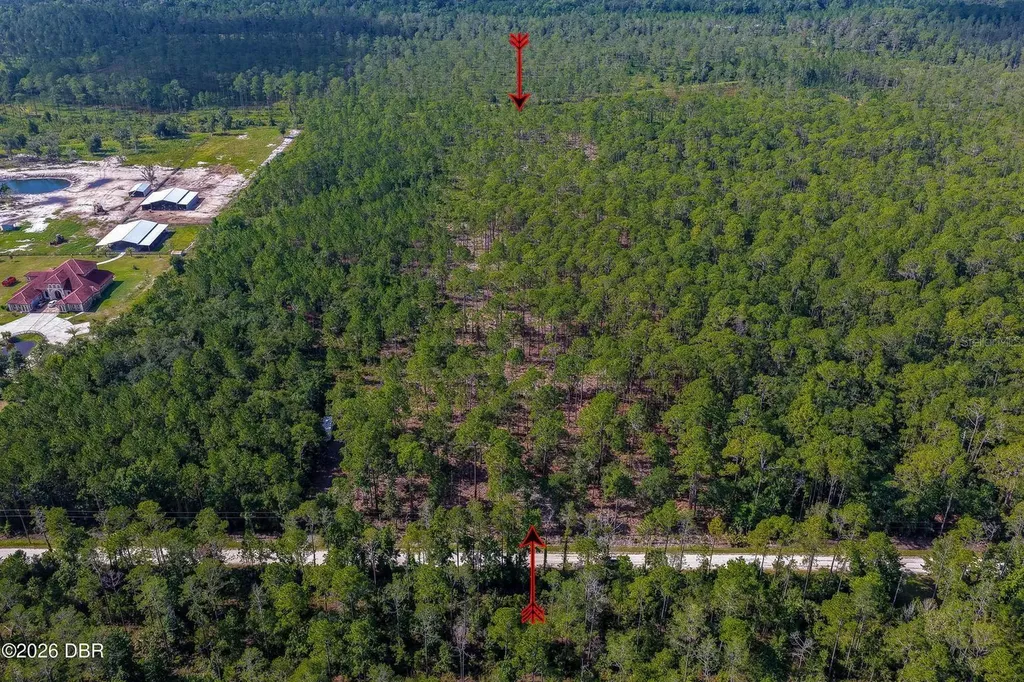 00 Ninemile Point Road Pierson FL 32180