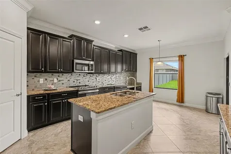 12005 Cinnamon Fern Drive Riverview FL 33579