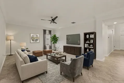 12005 Cinnamon Fern Drive Riverview FL 33579