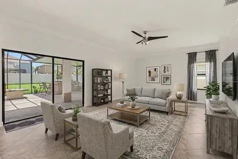 12005 Cinnamon Fern Drive Riverview FL 33579