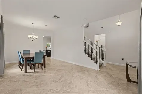 12005 Cinnamon Fern Drive Riverview FL 33579