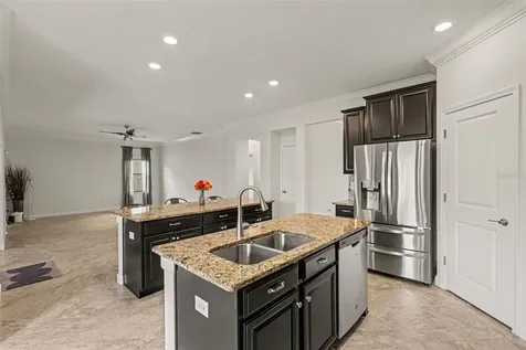 12005 Cinnamon Fern Drive Riverview FL 33579