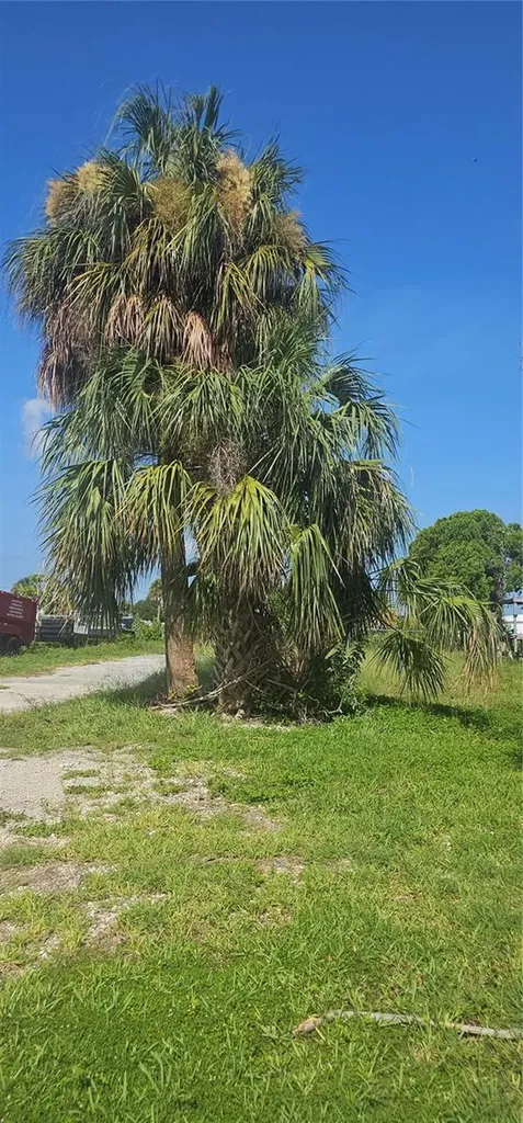 13113 Keel Court Hudson FL 34667