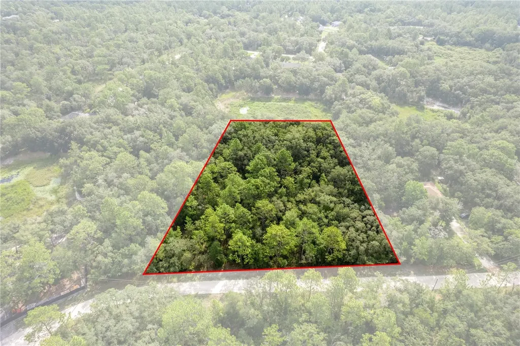 10497 Yellowlegs Avenue Weeki Wachee FL 34614