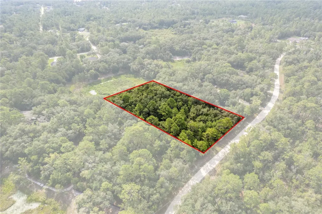10497 Yellowlegs Avenue Weeki Wachee FL 34614