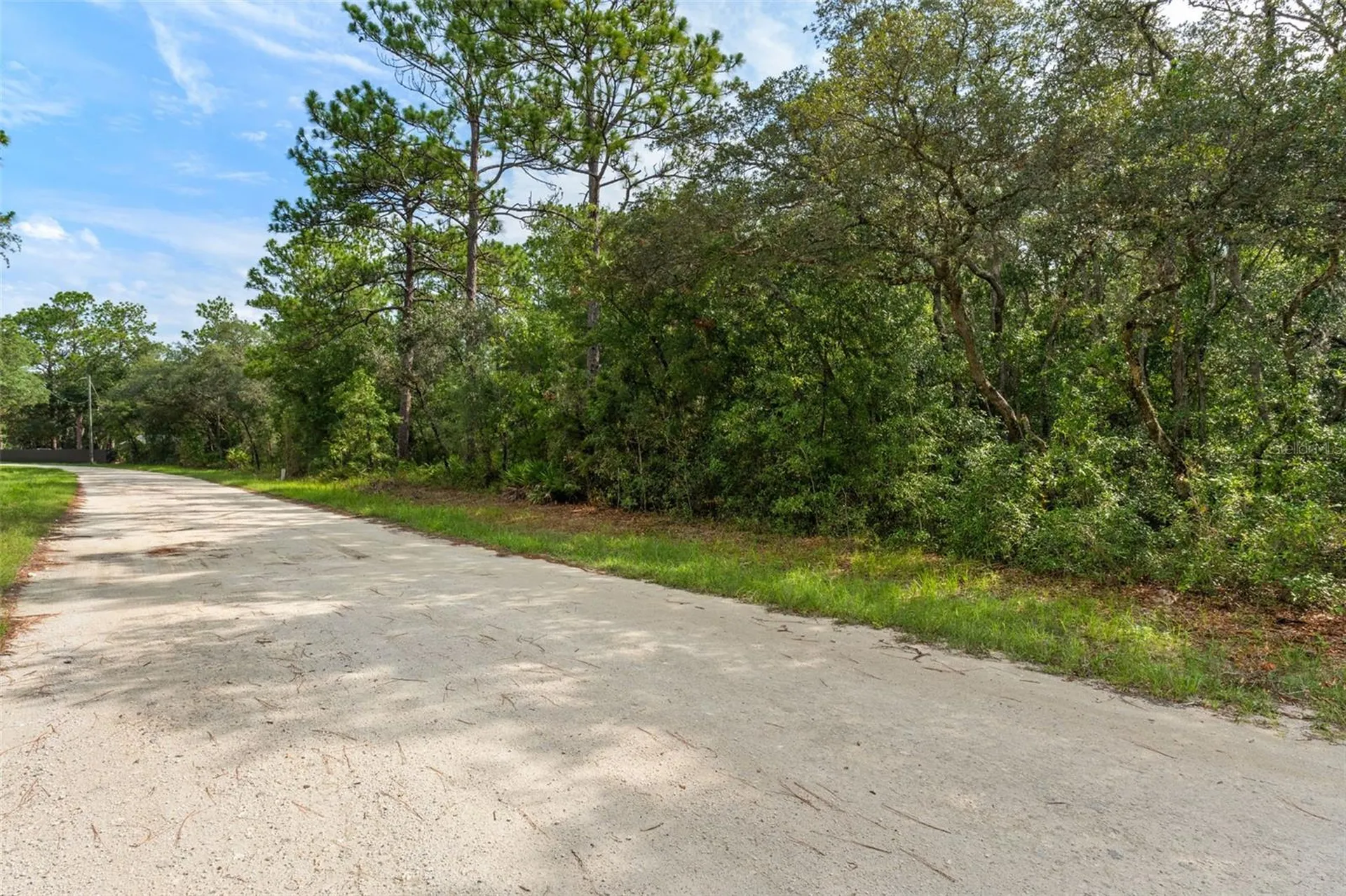 10497 Yellowlegs Avenue Weeki Wachee FL 34614