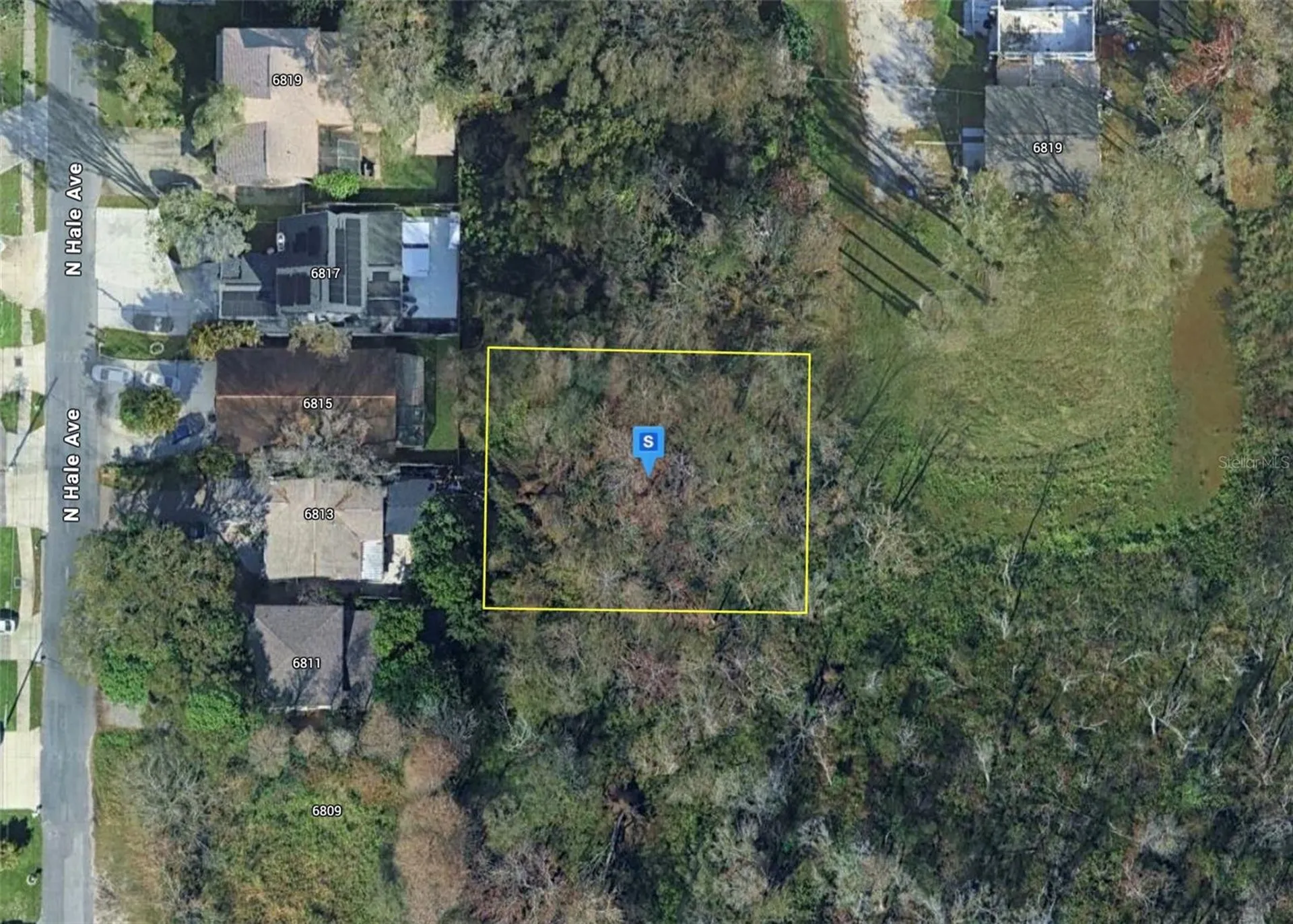 6810 N Blossom Avenue Tampa FL 33614