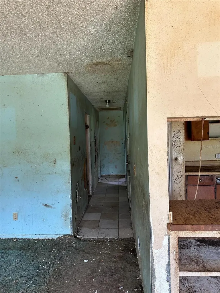 1968 SE 161st Terrace Ocklawaha FL 32179