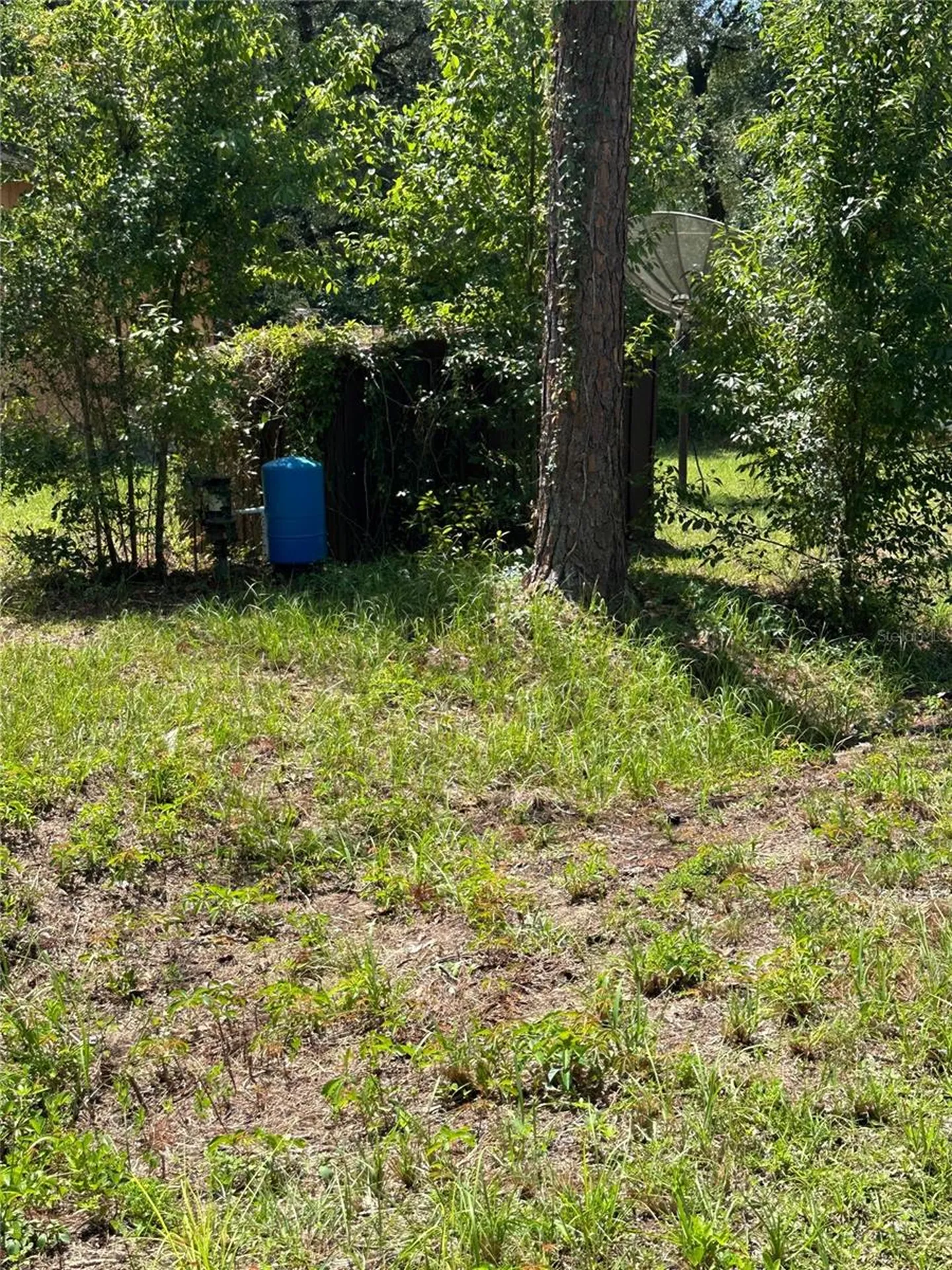 1968 SE 161st Terrace Ocklawaha FL 32179