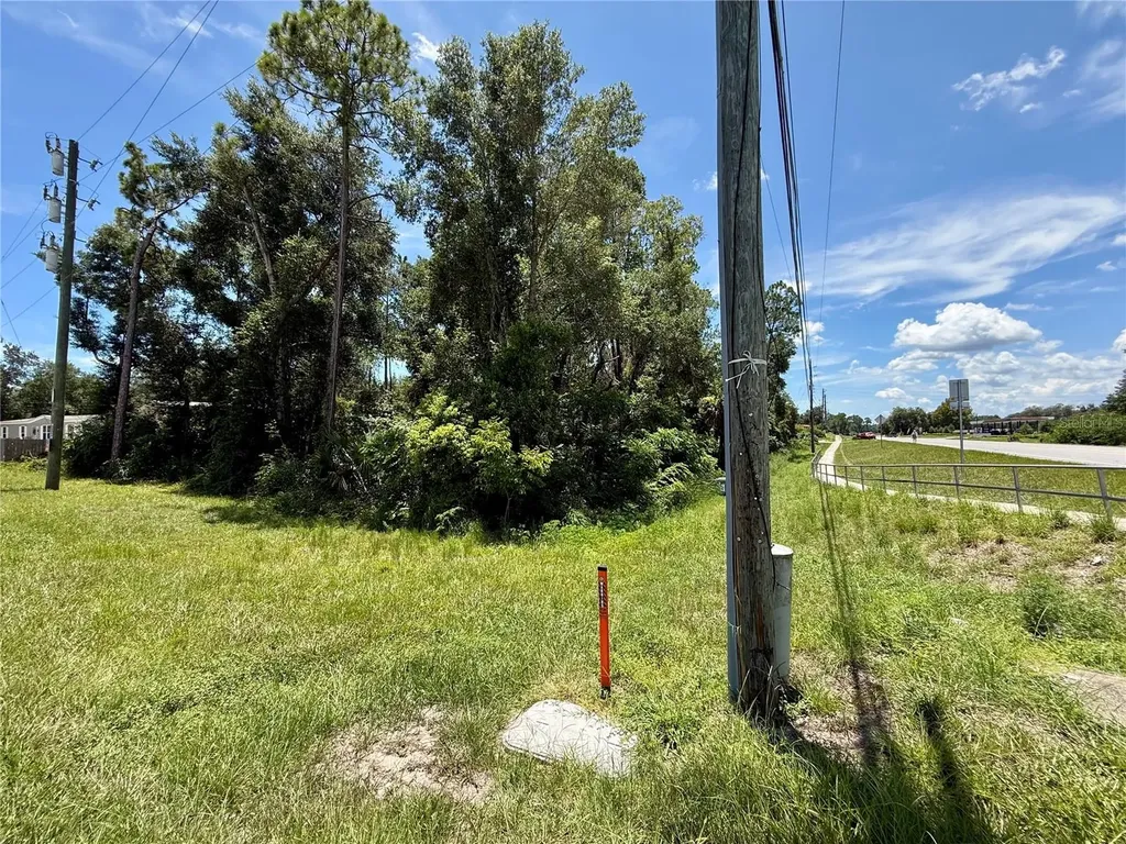 Lot 14 State Road 44 Eustis FL 32726