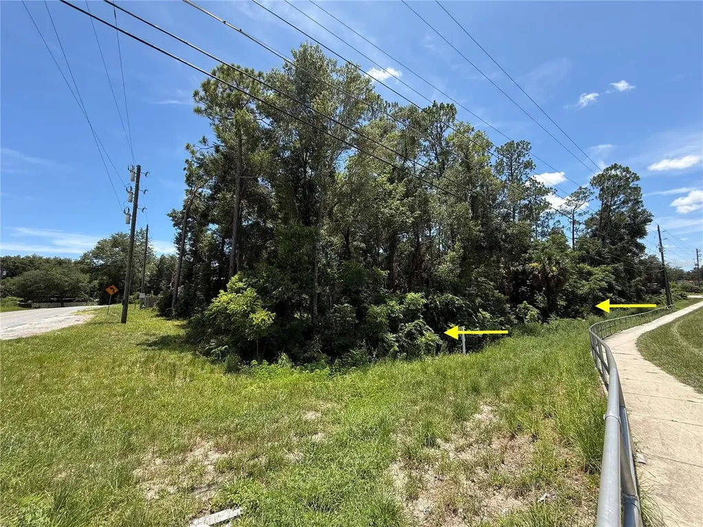 Lot 14 State Road 44 Eustis FL 32726
