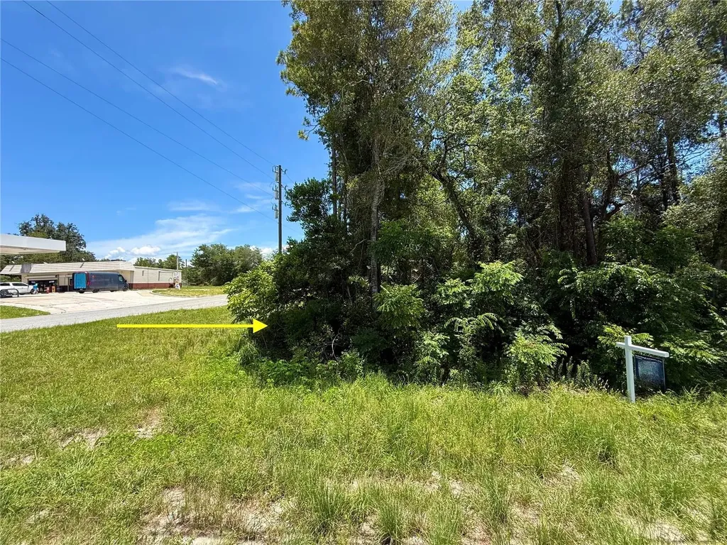 Lot 14 State Road 44 Eustis FL 32726