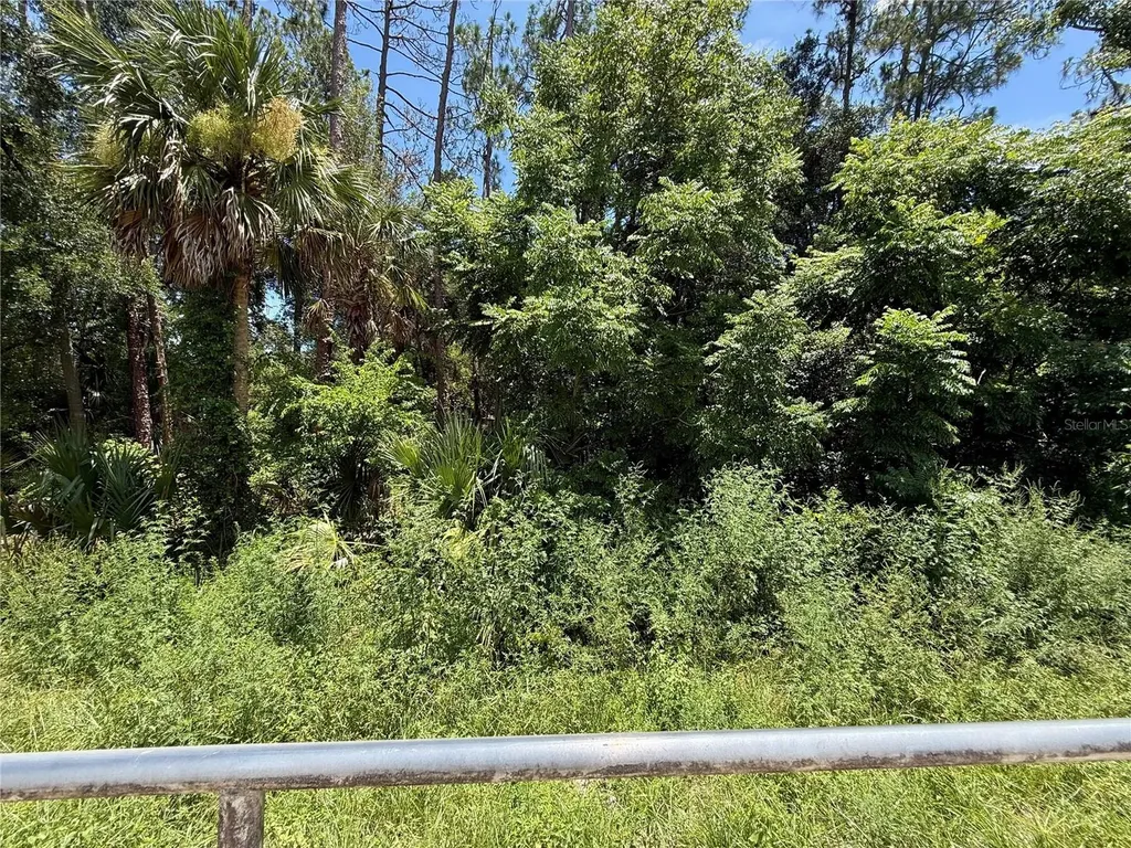 Lot 14 State Road 44 Eustis FL 32726