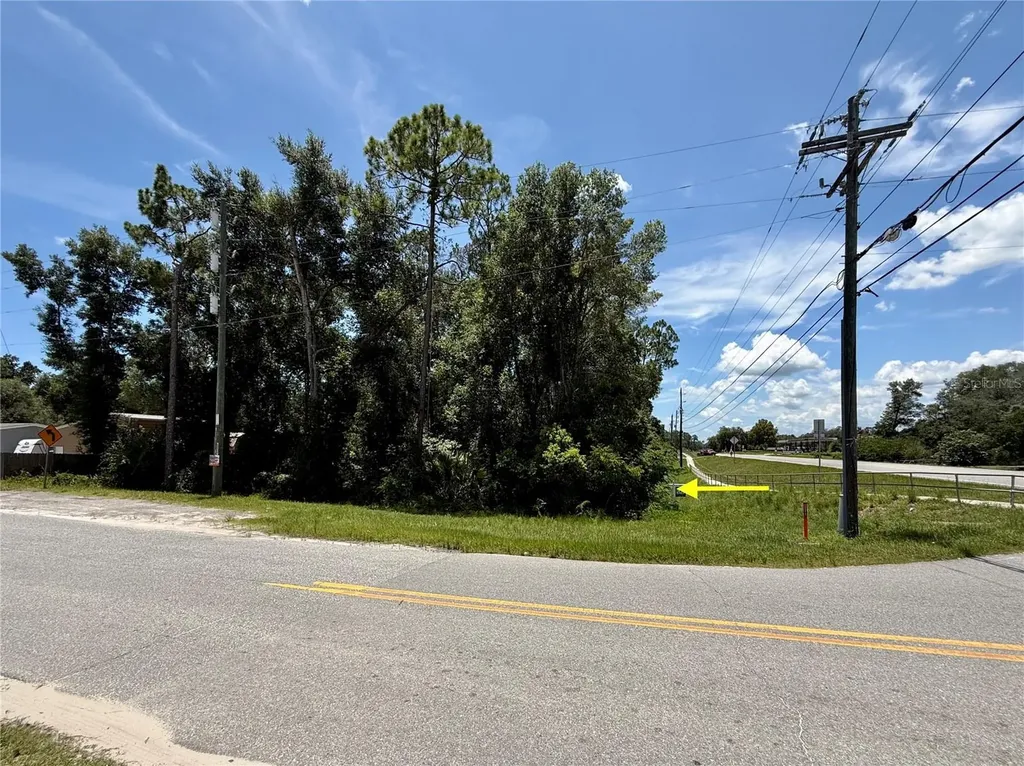 Lot 14 State Road 44 Eustis FL 32726