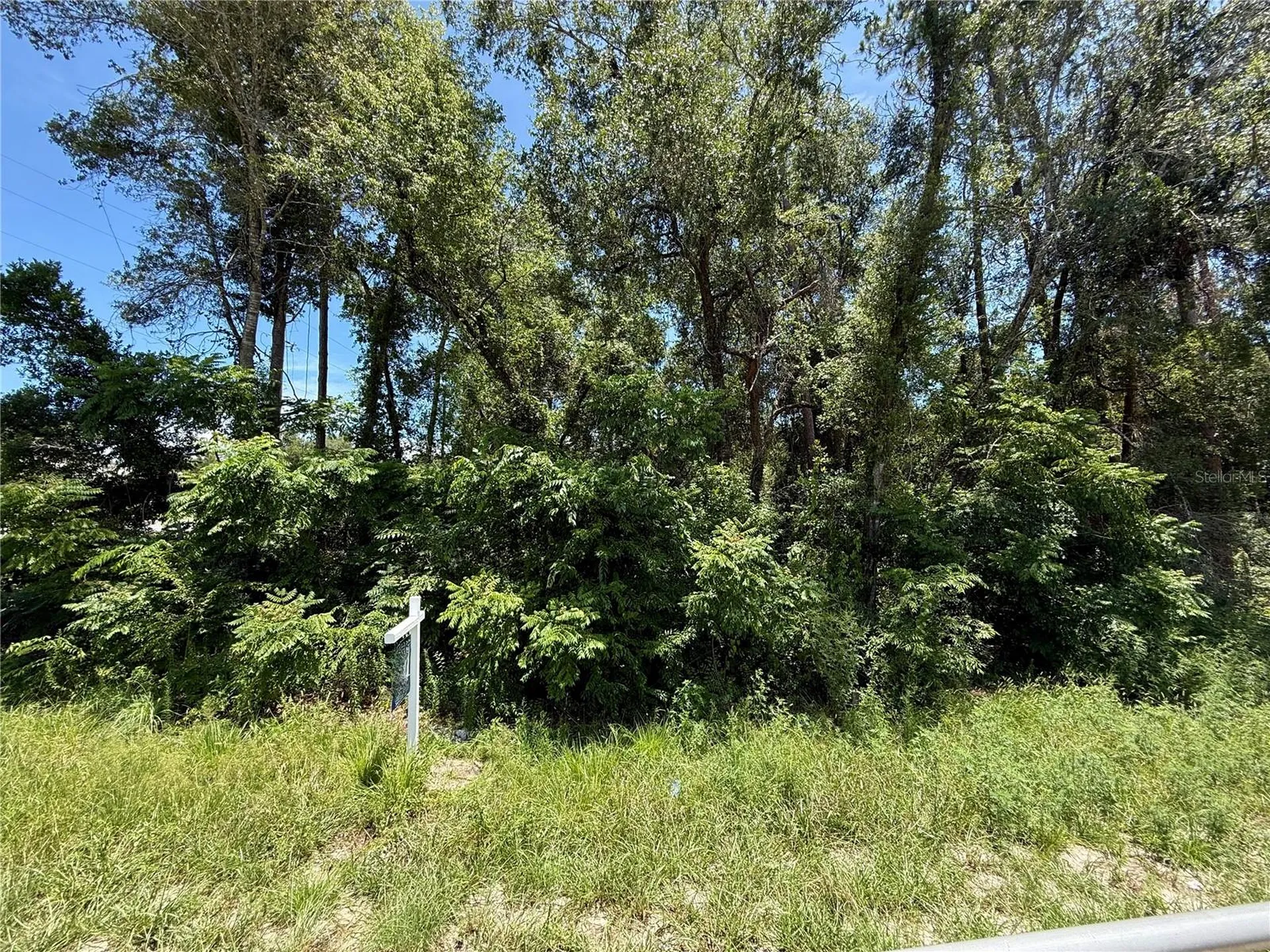 Lot 14 State Road 44 Eustis FL 32726