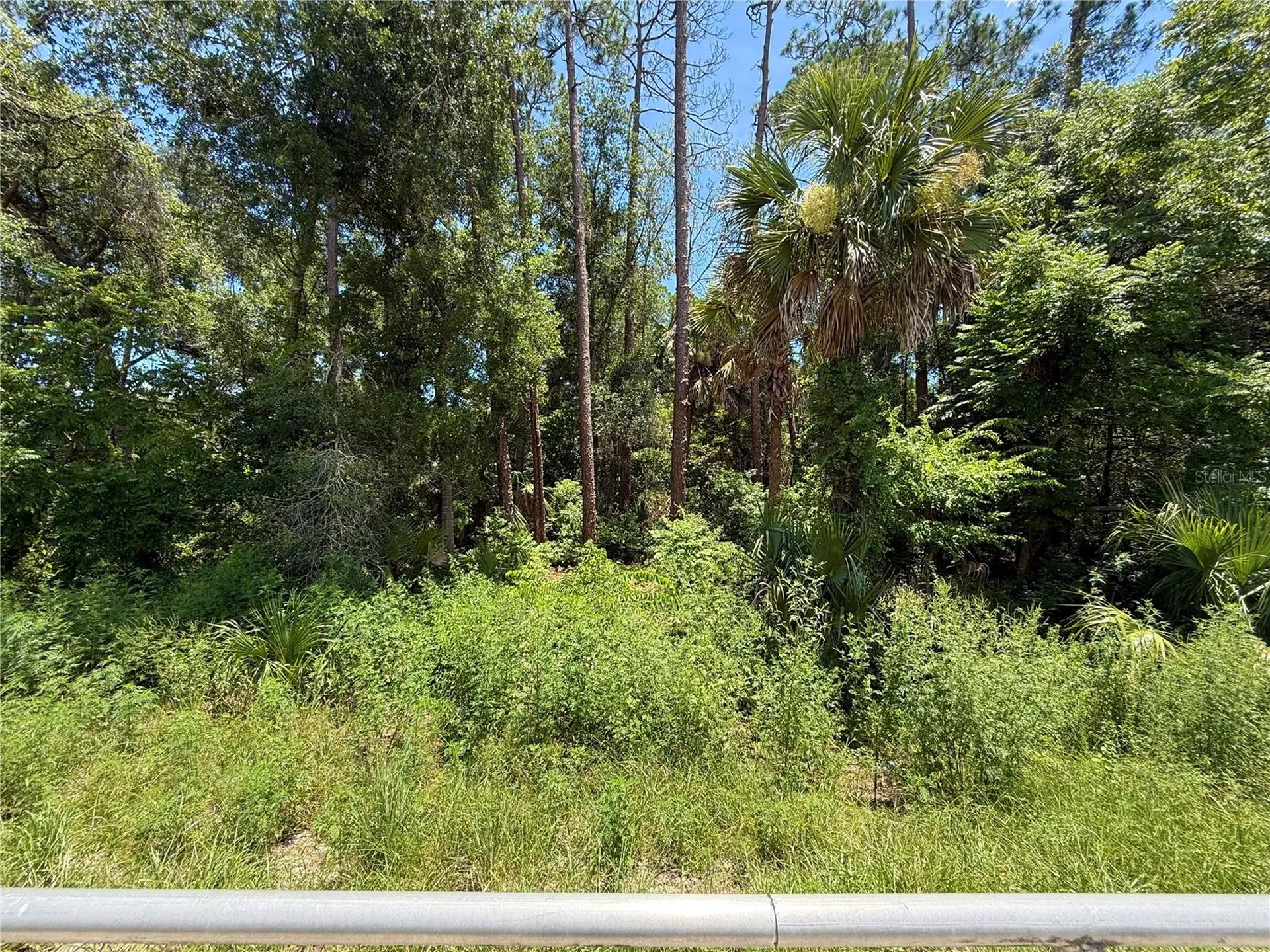 Lot 14 State Road 44 Eustis FL 32726