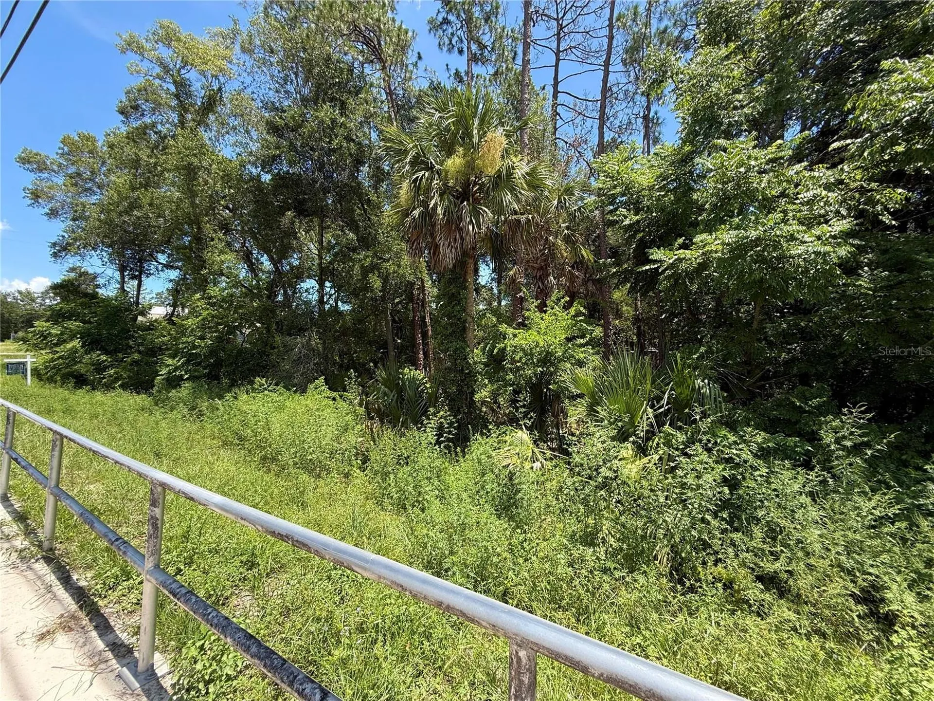 Lot 14 State Road 44 Eustis FL 32726