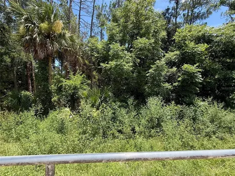 Lot 14 State Road 44 Eustis FL 32726